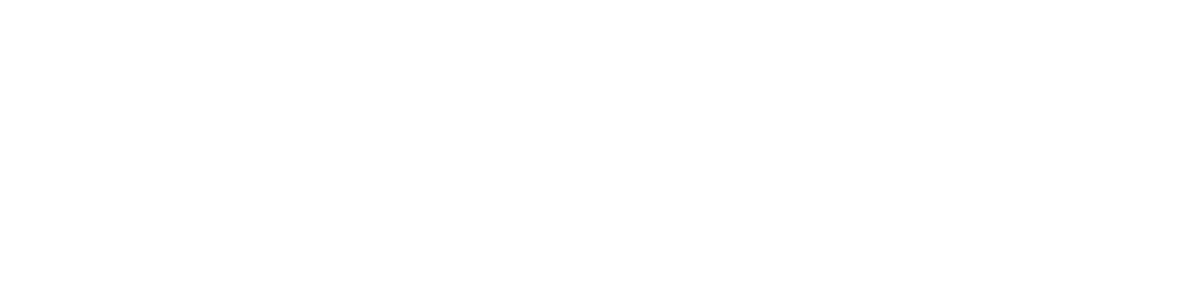 logo BlueRe